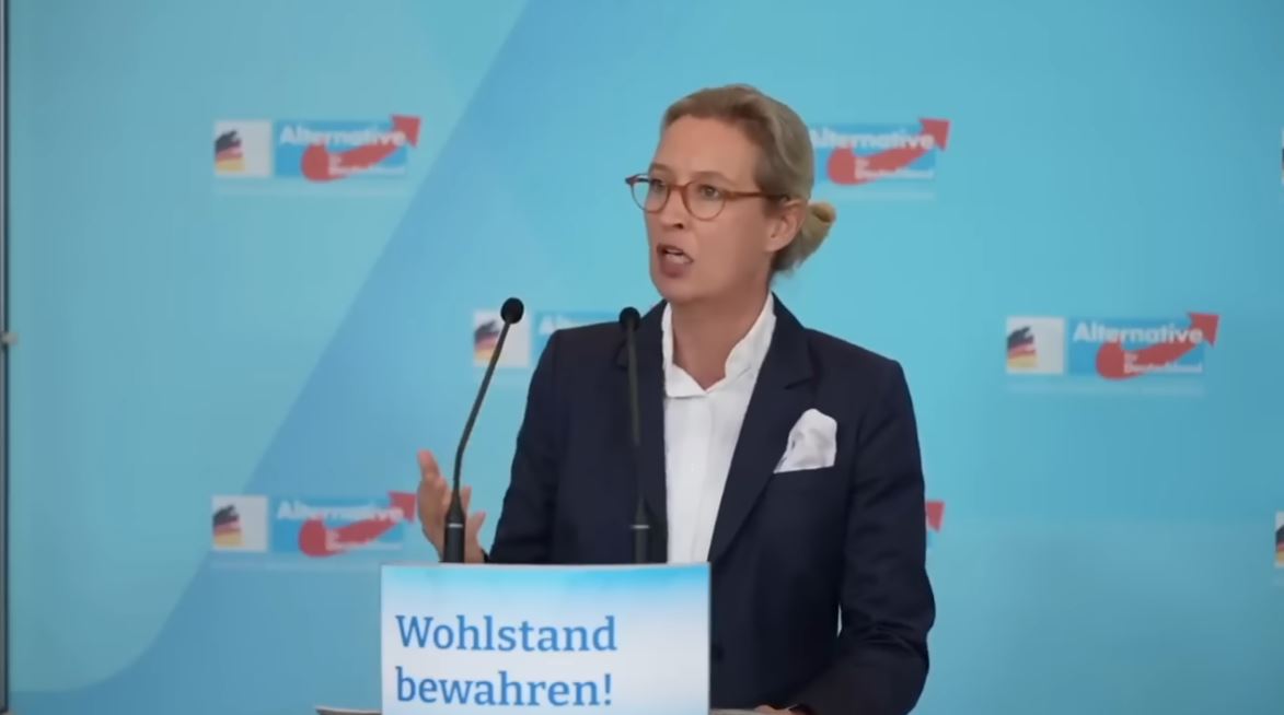 ALICE WEIDEL DECKT AUF Ein Meer von LÜGEN und ein VÖLLIG VERRÜCKTER Gesundheitsminister