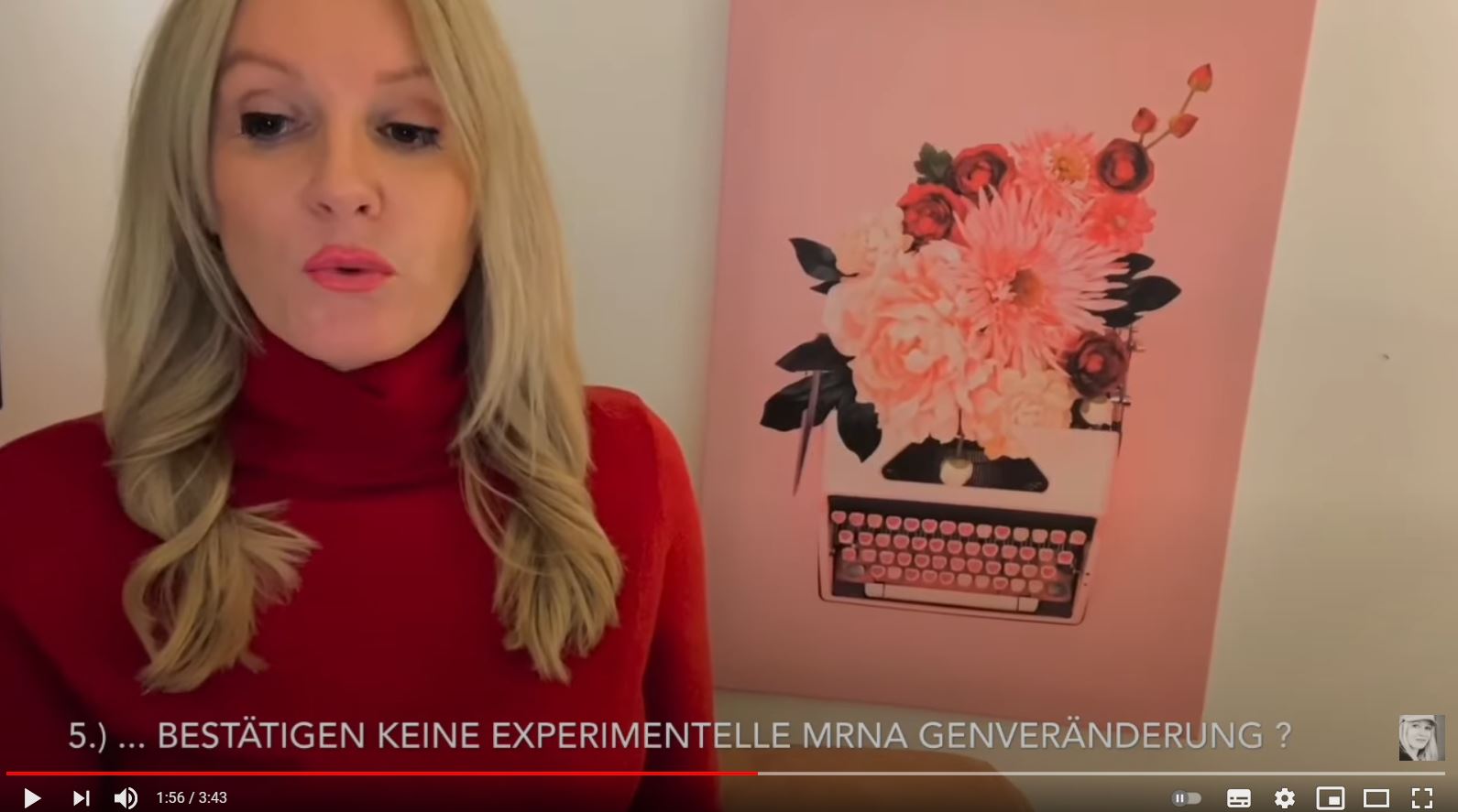 KURZANLEITUNG SCHLUMPF UMGEHUNG   Miriam Hope