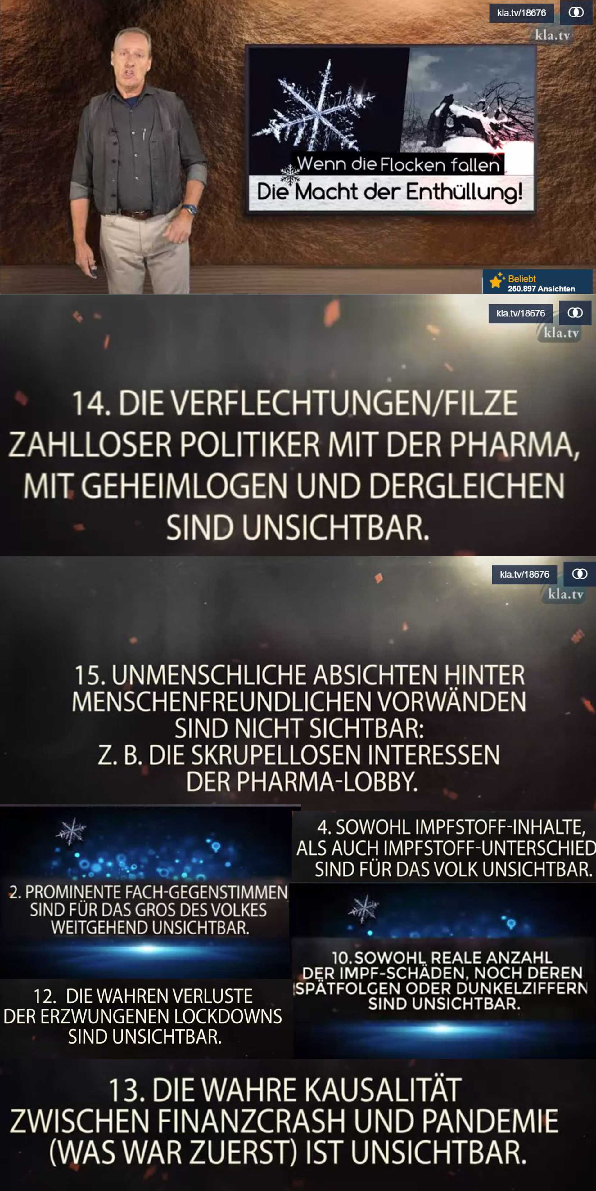 Wenn die Flocken fallen – Die Macht der Enthüllung   von Ivo Sasek   all 80