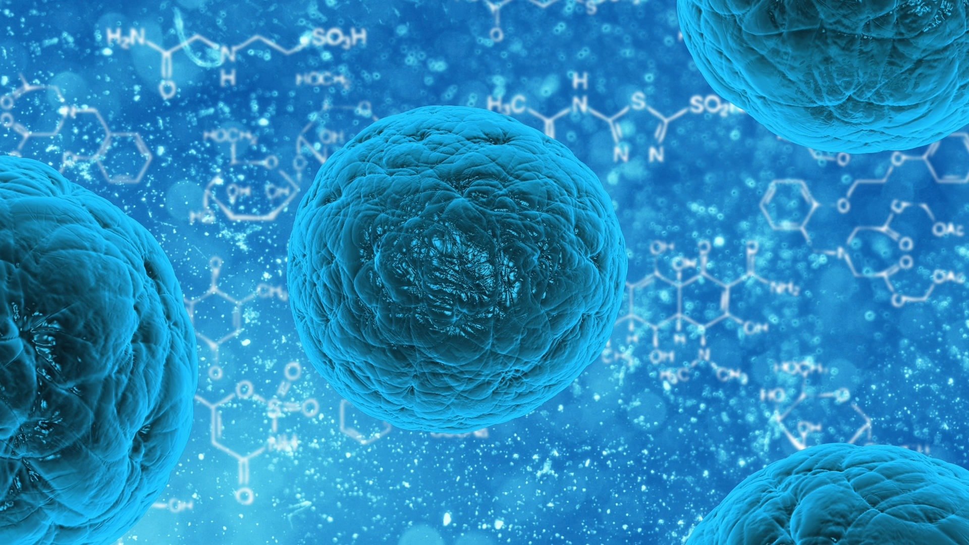bacteria 163711 (2)