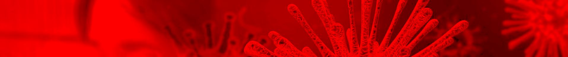 virus hg menue rot 2